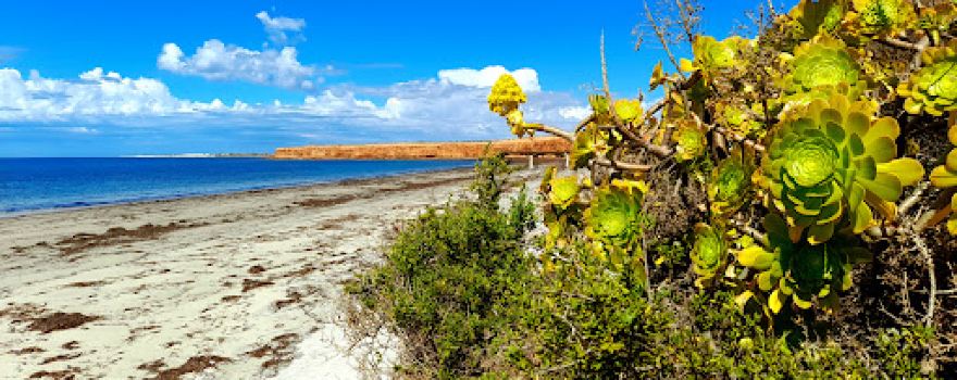 Port Gibbon Jetty Campground