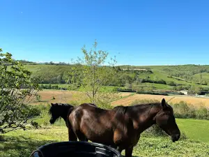 Camping le Bourdieu