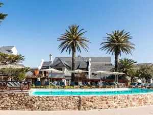 Hermanus Whale Watching View Point