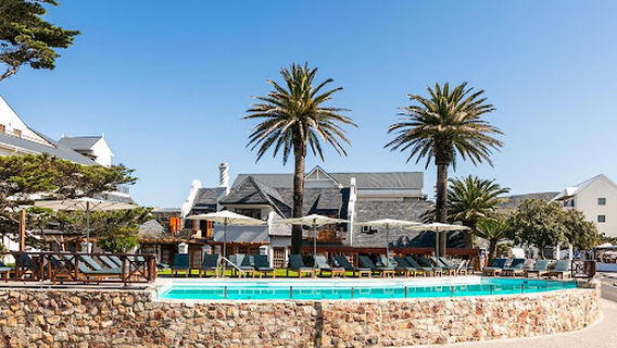 Hermanus Whale Watching View Point