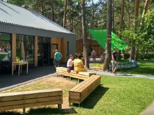 Sport and sports facilities Emerald Ice