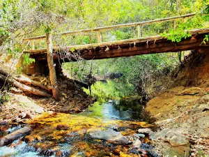 Ribeirão dos Ferreiras