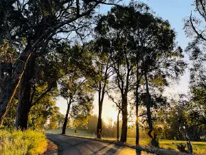 Wright's Bridge Campsite