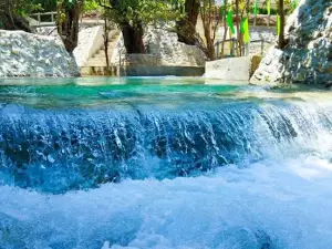 Maslog Cold Spring