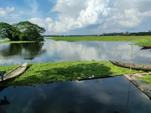 শাপলার রাজ্য