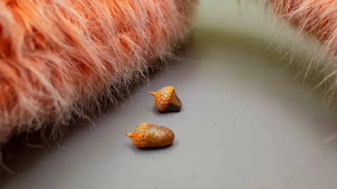 Patara gallery პატარა გალერეა