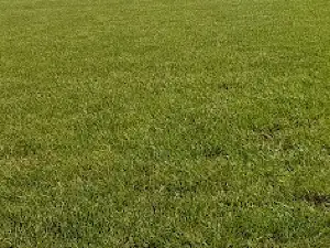 Stadion Miejski im. Bolesława Ciesielskiego w Janikowie