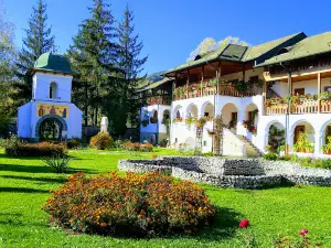 Orizont Cozia