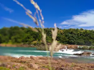 KOKA Picnic Spot