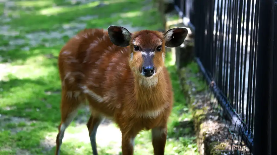 4_Zoo Bratislava