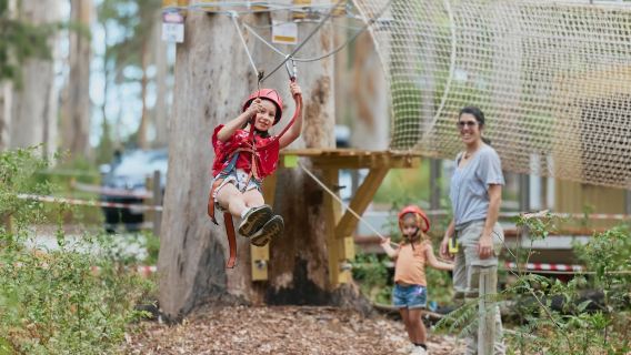 Aerial Adventure Pemberton