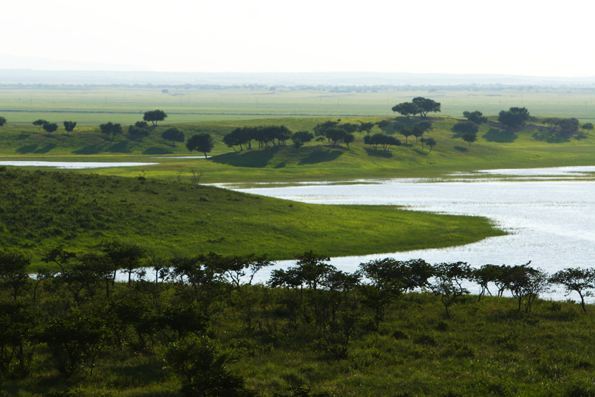 Horqin Rare Birds Nature Reserve