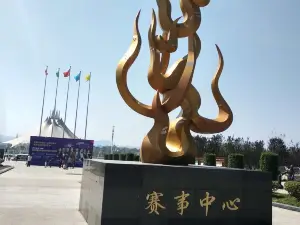 Wanzai Longhu Park Fireworks Display International Competition Center