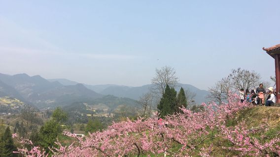 Peach Garden in Miaoba Town