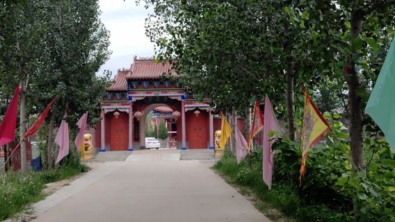 Taoist Temple of Bixia Palace, Xiajin County