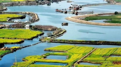 泊口河路亞垂釣基地