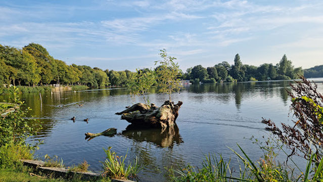 Harburger Stadt Park