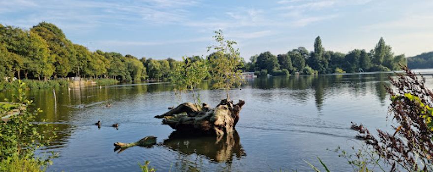Harburger Stadtpark