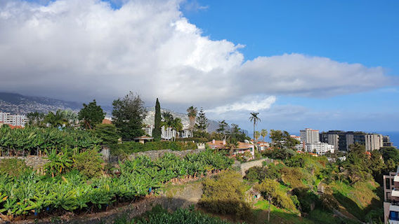 Estádio do Marítimo