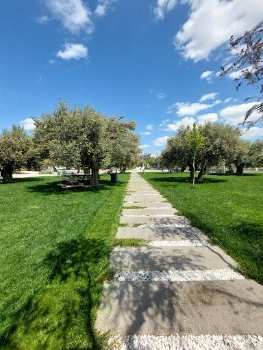 Zeytin Park