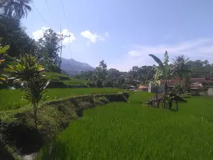 Wisata Air Gajah Depa