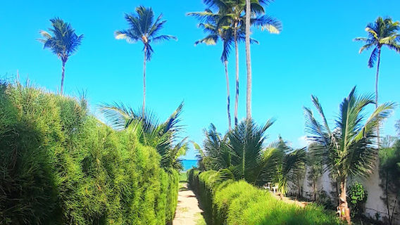 EcoTainer Maracaípe Camping