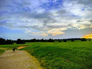 Shelby Farms Dog Park