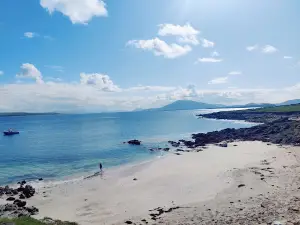 Blacksod Sea Safari