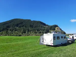 Woodville Ferry Reserve (freedom camping site)