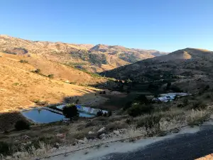 40 mountain's peak