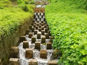 Banshkhali Eco Park