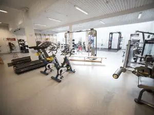 Arena Meråker