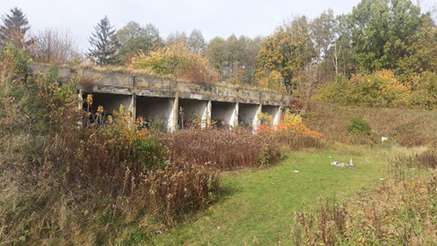 Rezerwat przyrody Łosiowe Błota