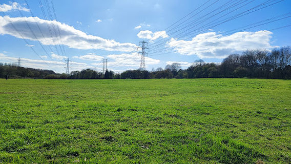Aylestone Meadows Local Nature Reserve