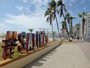Salinas