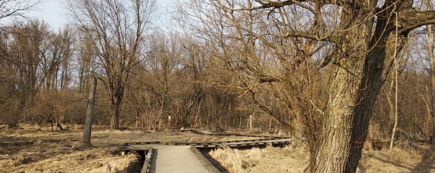 Wildwood Park