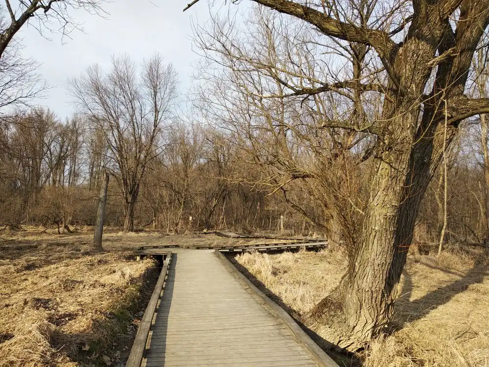 Hotels near Wildwood Park