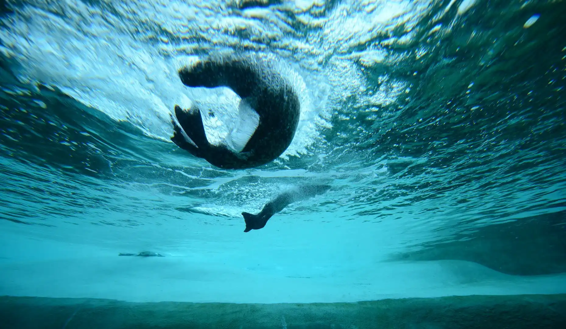 Hotels near Fiskeri- og Søfartsmuseet