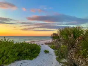 Honeymoon Island State Park