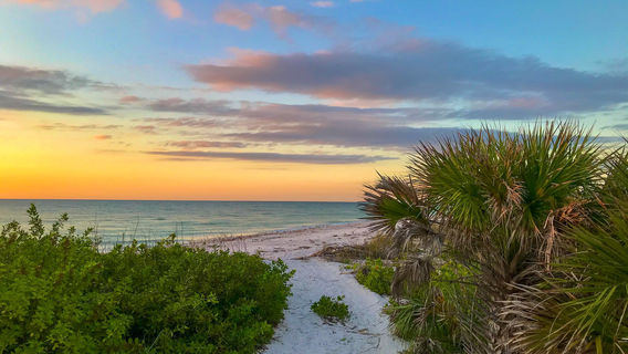 Honeymoon Island State Park