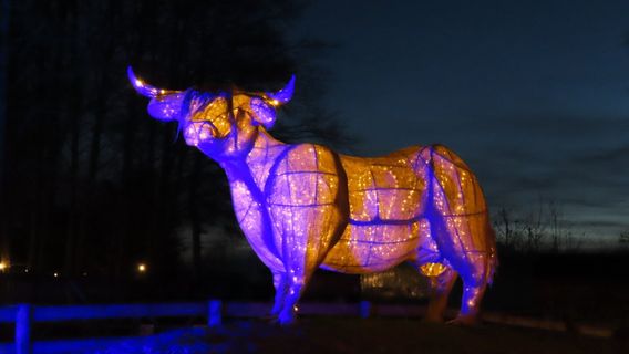 Cotswold Farm Park