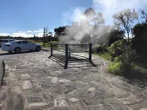 Steam Vents