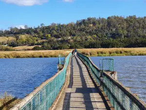 Tamar Island Wetlands Centre