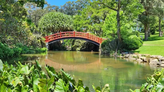 卧龍崗植物園