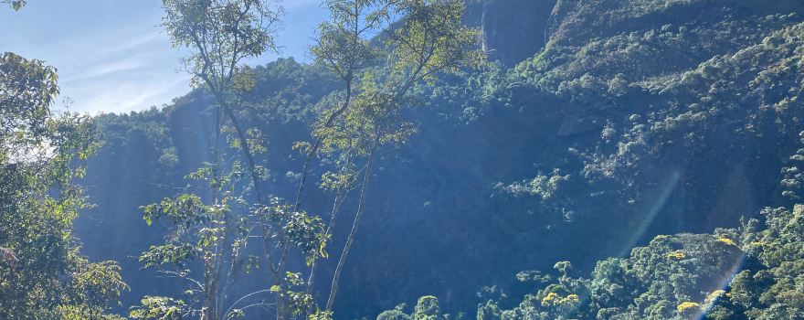 Serra dos Órgãos National Park