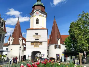Steiner Tor City Shopping
