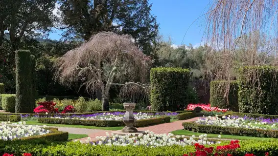 美國舊金山金門公園+九曲花街+漁人碼頭+斐洛里莊園一日遊