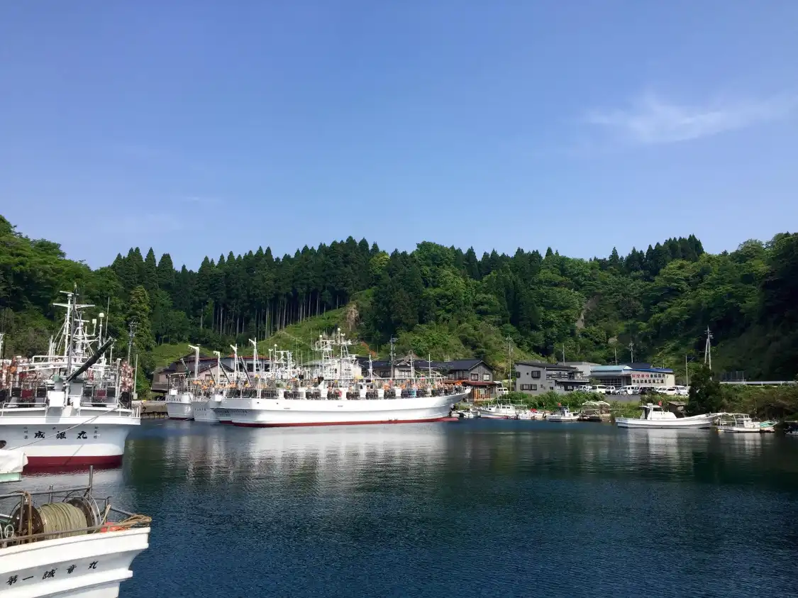 Hotels near Tsukumo Bay