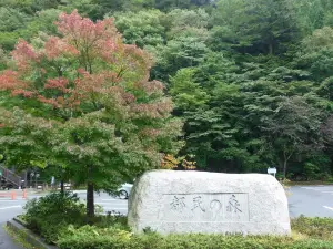 檜原都民の森