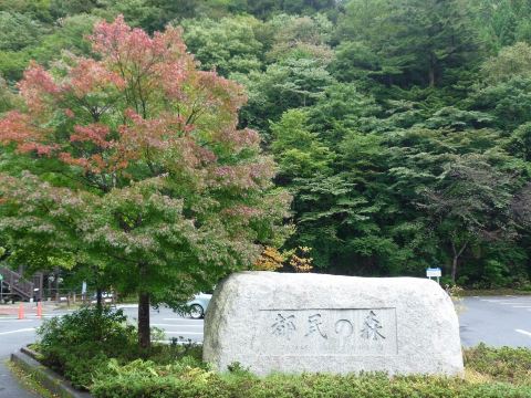 Hinohara Tokyo Citizens' Forest